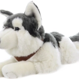 Husky en peluche couché avec sangles 60 cm