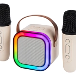 Enceinte karaoké Bluetooth avec éclairage RGB