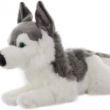 Husky en peluche 43 cm