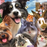 Educa Puzzle selfies amusantes 500 pièces