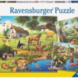 Puzzle RAVENSBURGER animaux de la forêt, au zoo et à la ferme 3×49 pièces