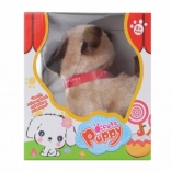 Petit chien marron qui marche