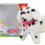 Chiot dalmatien marcheur avec saltos