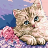 peinture diamant yeux de chat 30 × 40 cm – NORIMPEX