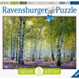 Puzzle Forêt de Bouleaux 1000 pièces Ravensburger