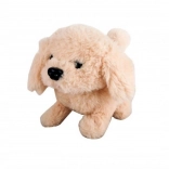 Chiot beige à piles