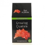 Kit de croissance de cristaux pour enfants