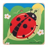 Coccinelle