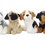Chien en peluche 14 cm
