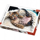 Puzzle 1000 pièces - Chaton joyeux Trefl