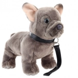 Bouledogue français en peluche avec laisse 23 cm