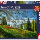 Puzzle Tulipes en fleurs sur l’île de Mainau 1000 pièces