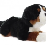 Chien de montagne bernois en peluche 42 cm