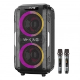 Haut-parleur sans fil W-KING T9 Pro 120 W avec 2 microphones – noir