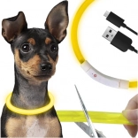 Collier LED lumineux pour chiens et chats avec charge USB et réglage de la longueur