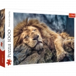 Puzzle 1000 pièces Lion endormi