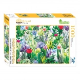 Puzzle Brain Tree Cactus 1000 pièces