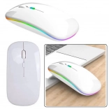 Souris ergonomique sans fil blanche