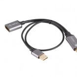Adaptateur HDMI (mâle) vers DisplayPort (femelle) 4K sur câble 20 cm, argenté