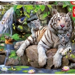 Puzzle Tigres Blancs 1000 pcs