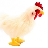 Coq en Peluche Blanc