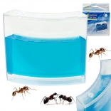 Aquarium éducatif à fourmis en gel