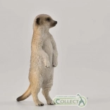 Collecta suricate figurine debout