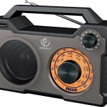 Enceinte Bluetooth portable et radio RODOS