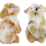 Lapin en peluche