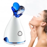 Vapeur ionique pour le visage sauna inhalateur