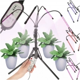 Lampe LED pour la culture des plantes avec panneau 4x80 LED