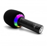 Microphone sans fil avec haut-parleur Bluetooth Karaoke Idol