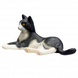 Chat couché Mojo noir et blanc