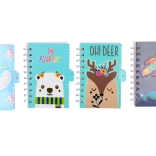 Bloc spiralé ligné 9x14 cm