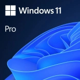 DVD Windows 11 Pro OEM