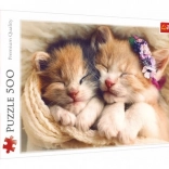 Puzzle Trefl 500 pièces chatons endormis