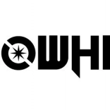 Moteur pour Koowheel E1