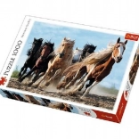 Puzzle 1000 pcs Chevaux galopants