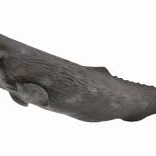 Baleine de la collection Collecta
