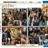 Puzzle 4x100 pièces Harry Potter
