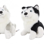 Husky en peluche 15 cm