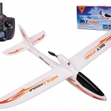 WLtoys Sky King F959S avion RC 2,4 GHz