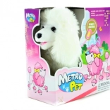 chien qui marche à câble avec queue frétillante