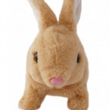 Lapin beige à piles