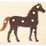Puzzle d’insertion Montessori en bois Cheval VIGA