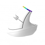 Souris verticale sans fil Delux M618C RGB blanche