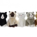 Chat en peluche 21 cm