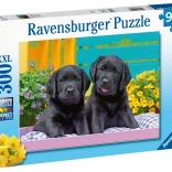 Ravensburger puzzle Puppy Life 300 pièces