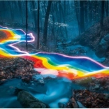 Puzzle 1000 pièces Forêt magique, Chemin arc-en-ciel