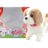 Chiot marcheur brun et blanc avec saltos